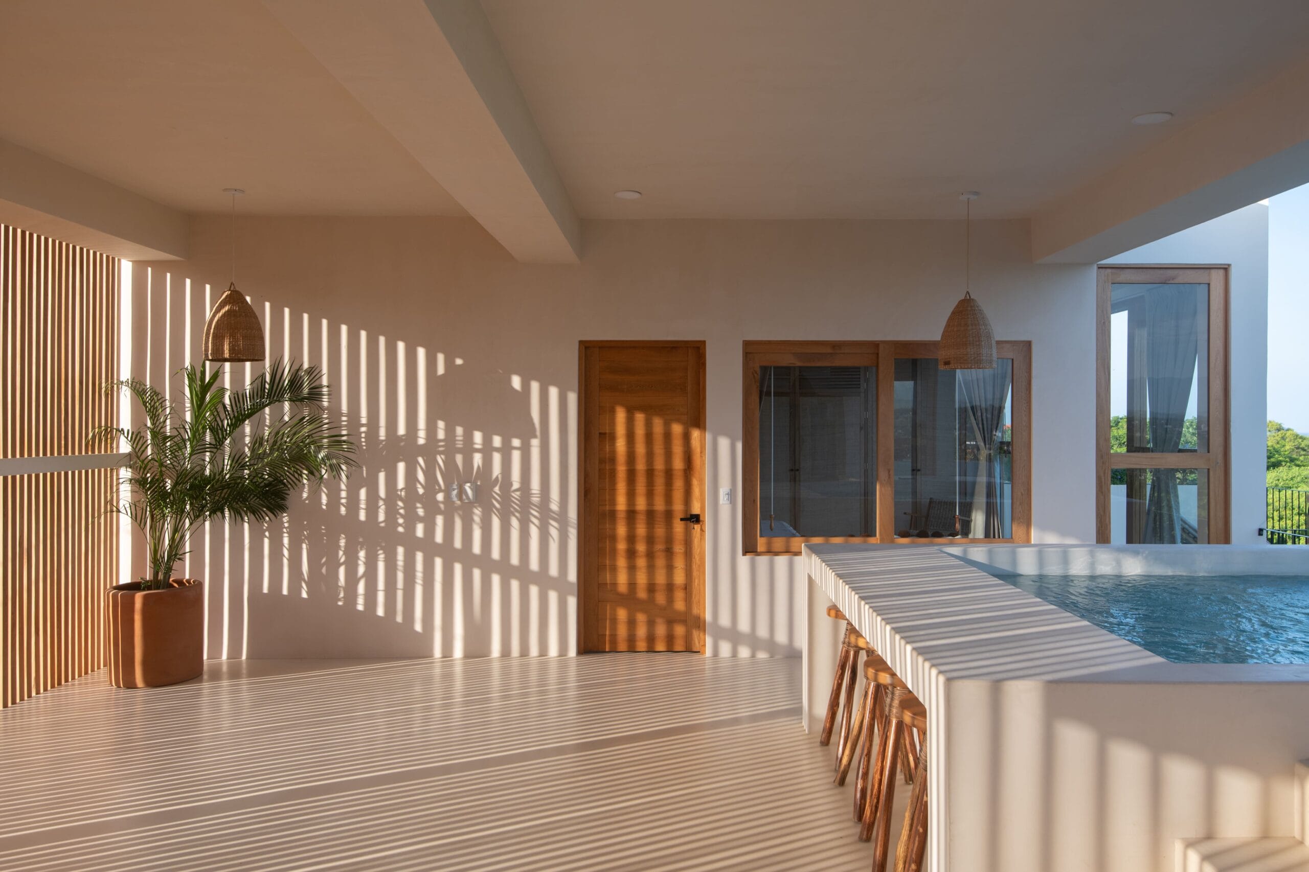 Taco Champagne - Hom - luz de atardecer